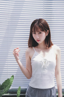 越南djqt